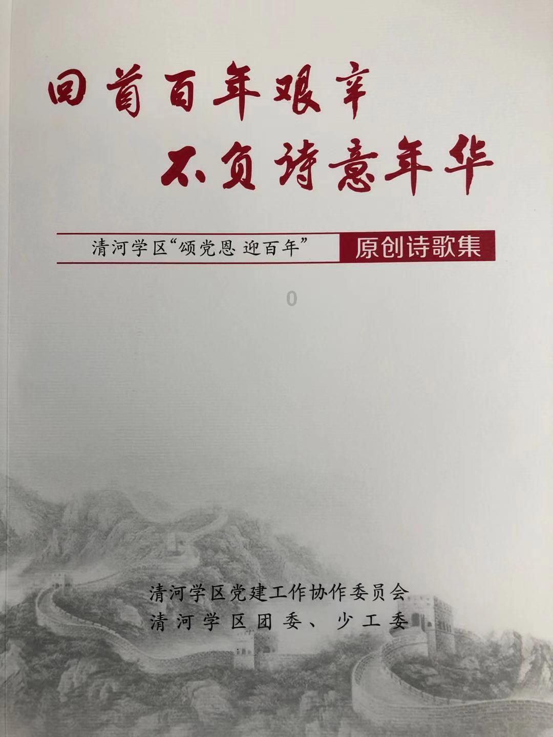 植物大战僵尸9